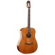 Guitare Prodipe SD200