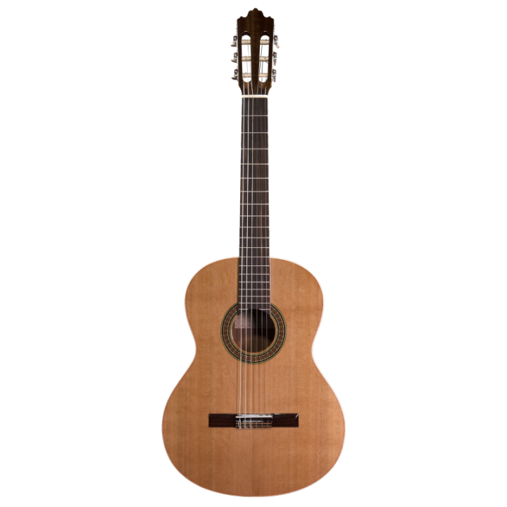 Guitare classique Prodipe Recital 200 | Major Pigalle