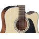 TAKAMINE GD30CE-NAT NATURAL