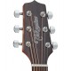 TAKAMINE GD30CE-NAT NATURAL