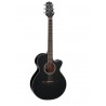 Guitare TAKAMINE GF15CE-BLK