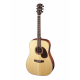 Guitare Cort EARTH100F-NS