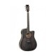 Guitare TangleWood TW5BS