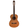 Guitares Classiques
